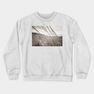 Abstract sepia toned effect Marram grass blowing in wind.  imagine this on a  card or gracing your room as wall art fine art canvas or framed print on your wall Crewneck Sweatshirt